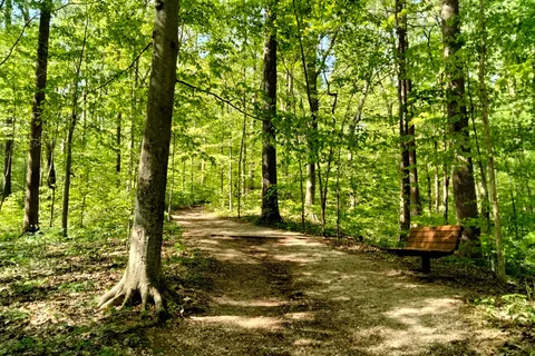 McCormick's Creek State Park