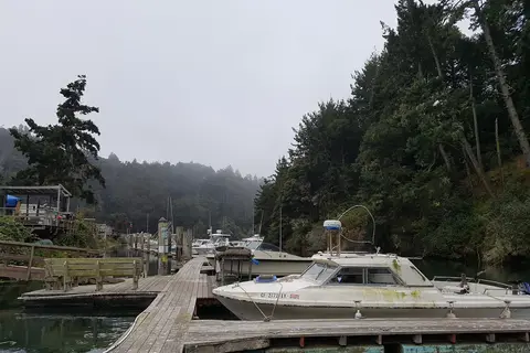 Dolphin Isle Marina and RV Park
