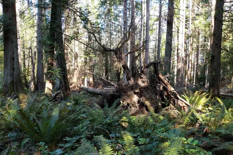 Prior Centennial - Gulf Island National Park