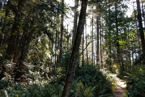 Prior Centennial - Gulf Island National Park