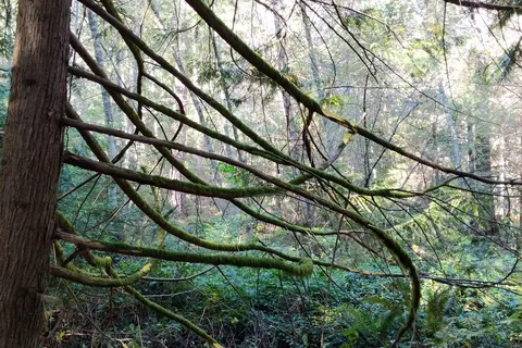 Prior Centennial - Gulf Island National Park