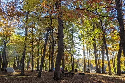 Crabtree Falls Campground - Blue Ridge Parkway National Park