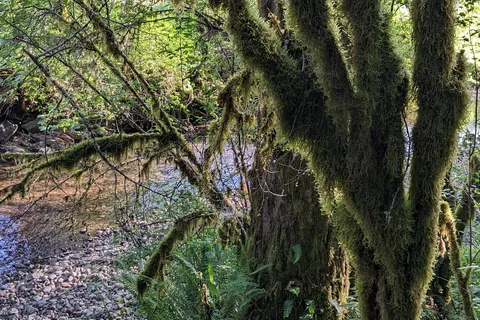 Elkamp Eastcreek