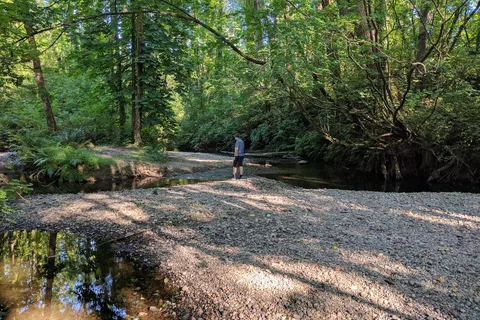 Burnaby Cariboo RV Park and Campground Vancouver