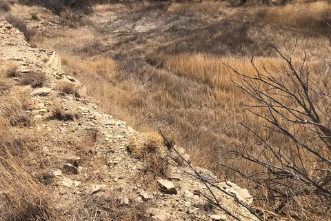 Burchfield State Wildlife Area