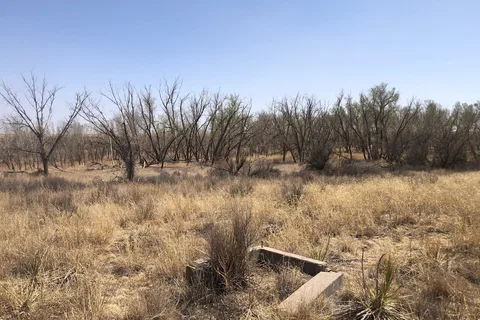 Burchfield State Wildlife Area