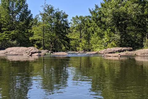 Acorn - Beavers Bend State Park