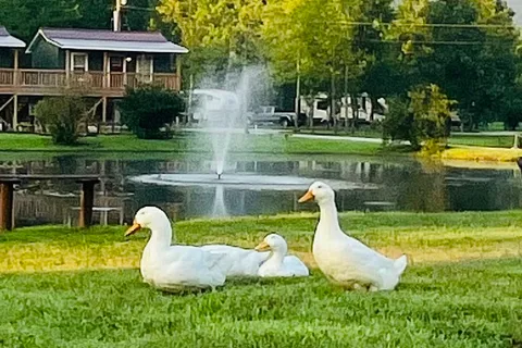 Sheltowee RV Park and Cabins