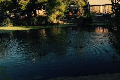 Meadowbrook RV Park