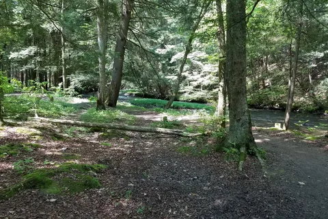 Hickory Creek Wilderness Ranch