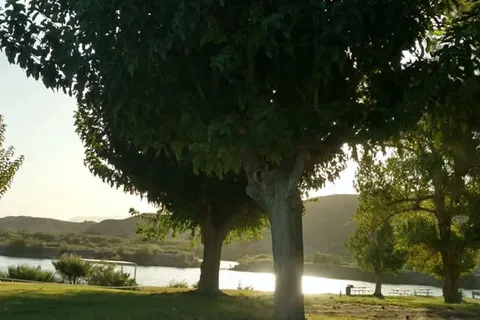 Destiny Mcintyre Park