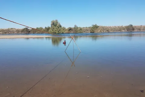 Destiny Mcintyre Park