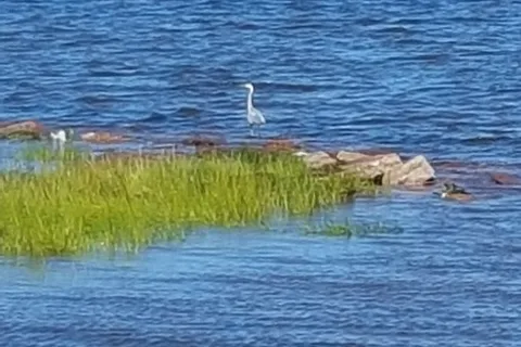 Crystal Beach Campground and Cottages