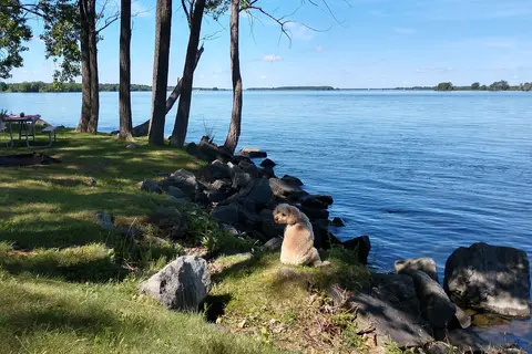 Coles Creek State Park