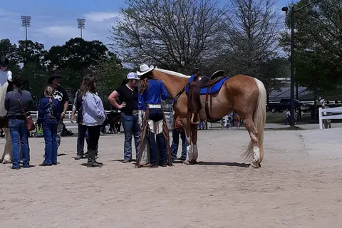 Georgia International Horse Park