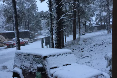Pagosa Pines RV Park