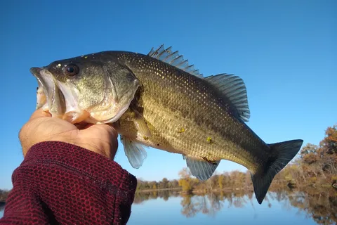 Miami State Fishing Lake