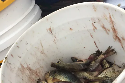 Miami State Fishing Lake
