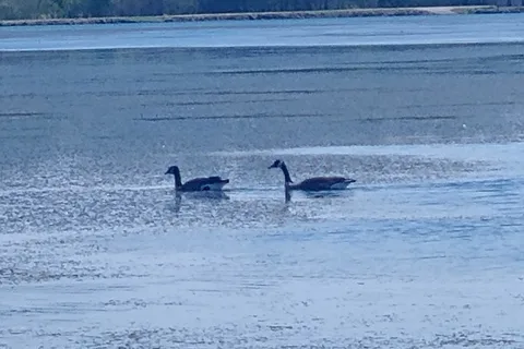 Miami State Fishing Lake