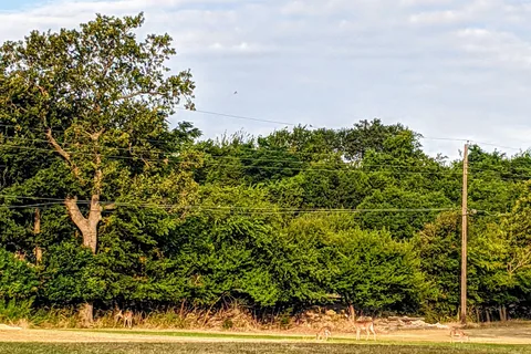 Cove RV Park