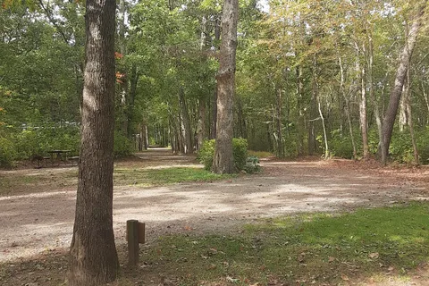 Butterfly Camping Resort