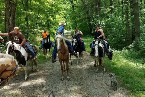Zaleski State Forest - Horse Camp