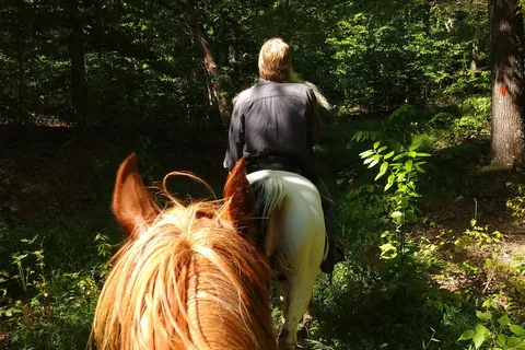Zaleski State Forest - Horse Camp
