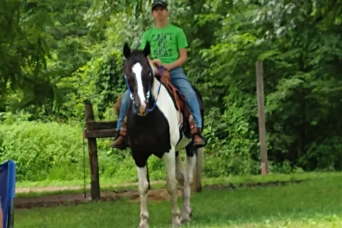 Zaleski State Forest - Horse Camp