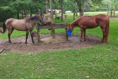 Zaleski State Forest - Horse Camp