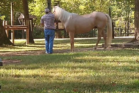 Zaleski State Forest - Horse Camp