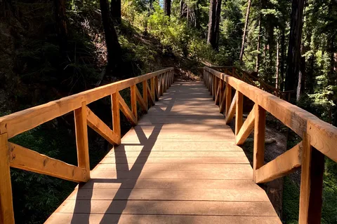 Pfeiffer Big Sur State Park