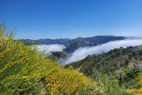Pfeiffer Big Sur State Park