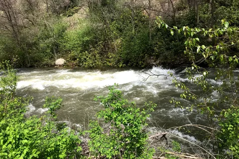 Beaver Creek Provincial Park