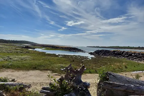 Jetty Fishery Marina and RV Park