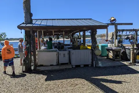 Jetty Fishery Marina and RV Park