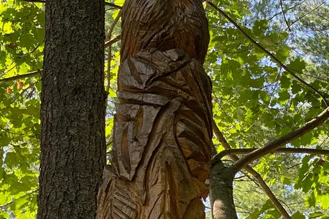 Jacobs Brook Campground