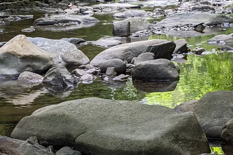 Jacobs Brook Campground