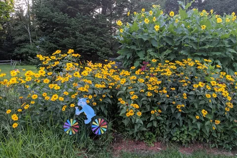 Jacobs Brook Campground