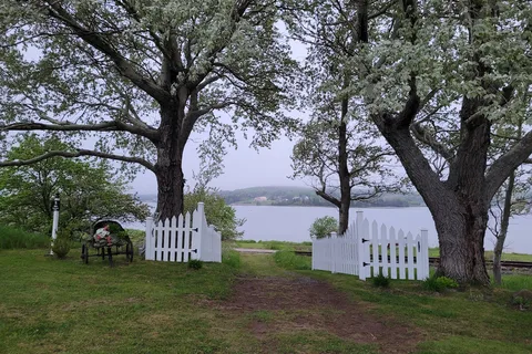 Arm Of Gold Campground