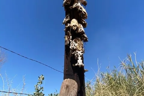 Hidden Cove RV Park