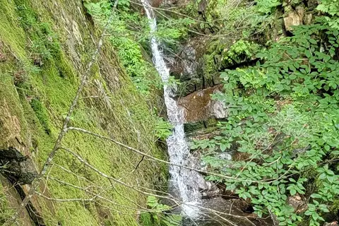 Coleman State Park
