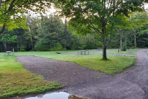Coleman State Park