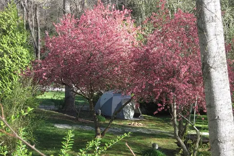 Turkey Creek Campground