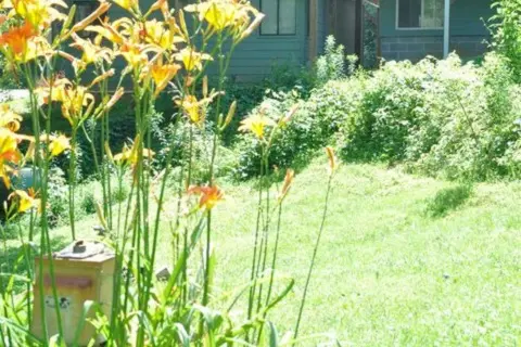 Turkey Creek Campground