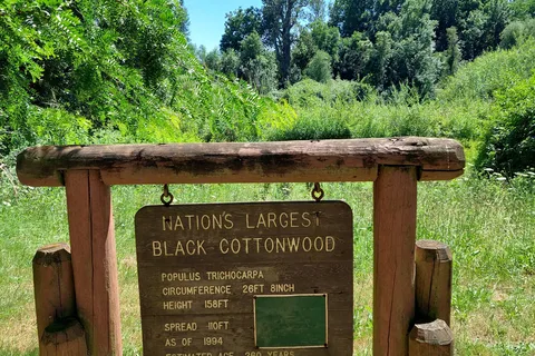 Horse Group - Willamette Mission State Park