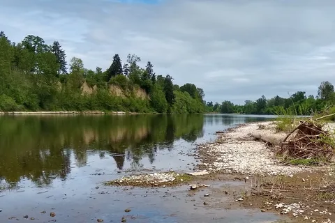 Horse Group - Willamette Mission State Park