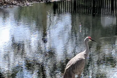 Waters Edge RV Resort