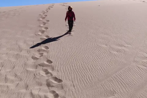 Great Sand Dunes Oasis