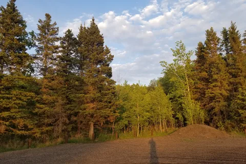 Wasagaming Campground - Riding Mountain National Park