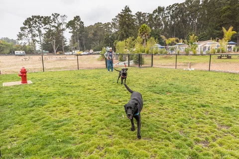 Santa Cruz / Monterey Bay KOA Holiday